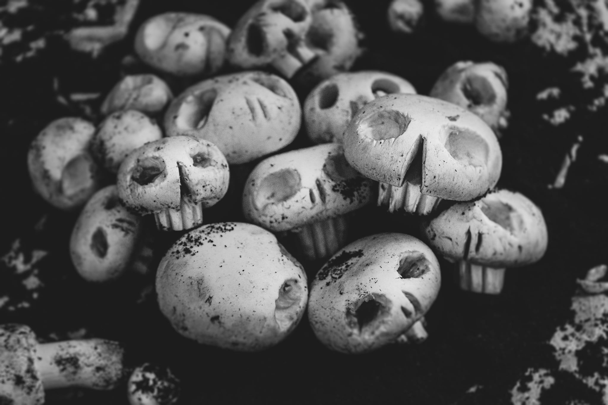  Mushroom Skulls for Halloween natalizie rete italiane 4 italiane 