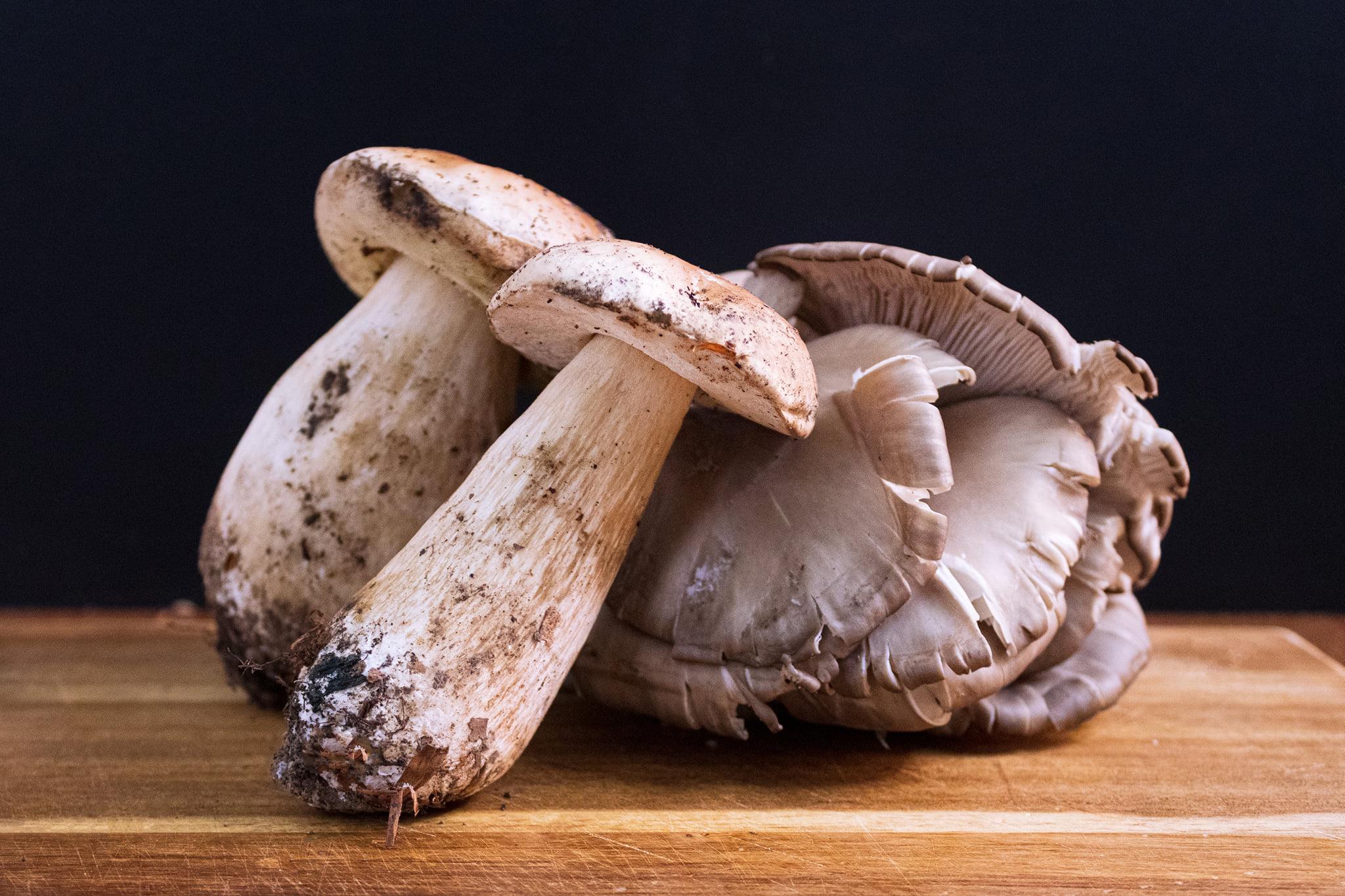   Funghi Porcini Trifolati il ricette facili blog programma 