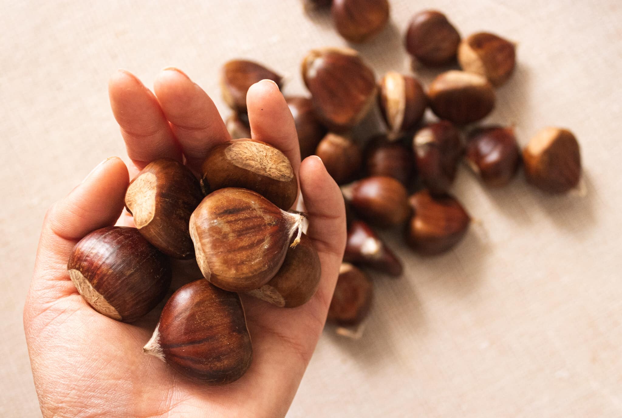  Chestnut Season in Italy con italiane ricette ricette e 