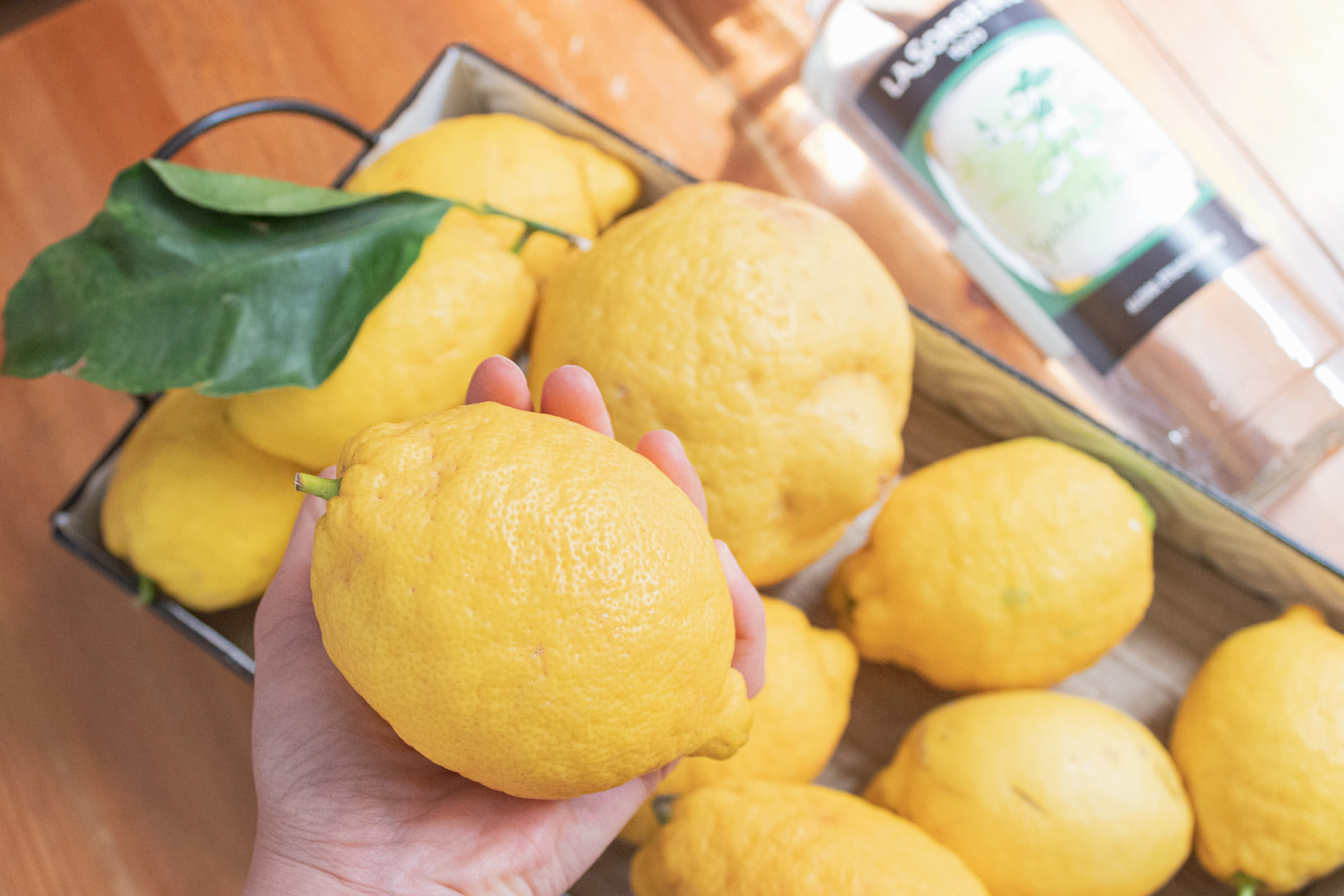  Limoncello QA con biscotti libro di italiane 